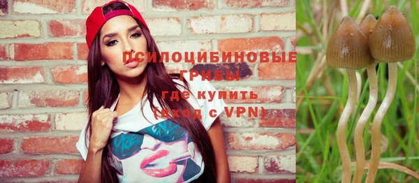 стафф Балахна