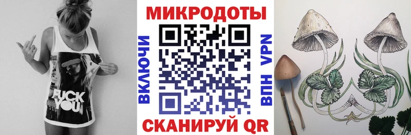 как найти закладки  Новодвинск  Галлюциногенные грибы мицелий 